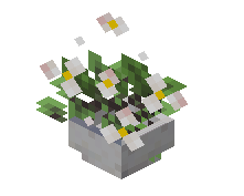Potted Oak Sprout