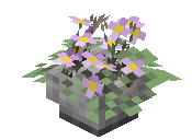 Potted Pink Tulip