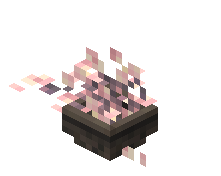 Potted Sakura Sprout