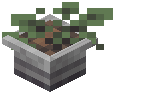 Potted Sprout