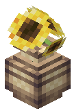 Potted Sunflower
