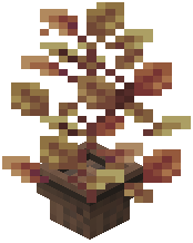 Potted Tall Maple