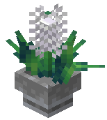 Potted Yuuca