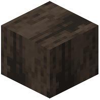 Raw Dark Oak Wood