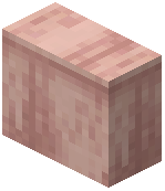 Side Slab Raw Cherry Wood