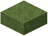 Slab Grass