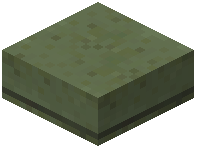 Slab Green Concrete