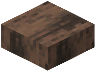 Slab Raw Jungle Wood