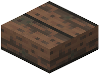Slab Stripped Jungle Wood