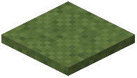 Snow Layer Grass