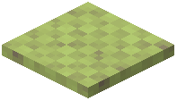 Snow Layer Lime Wool