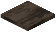 Snow Layer Raw Dark Oak Wood
