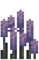 Tall Lilac