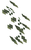 Vine